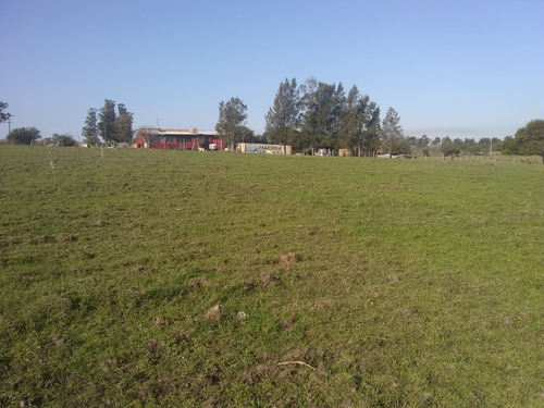 Chacra De 6ha Con Casa De 3 Dormitorios En Alquiler, San Carlos