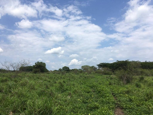 Imagen 1 de 30 de 33 Has Cerca De Altozano El Nuevo Colima
