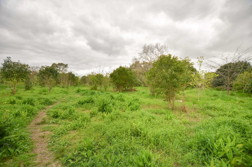 Imagen 11 de 15 de Terreno En Venta La Plata