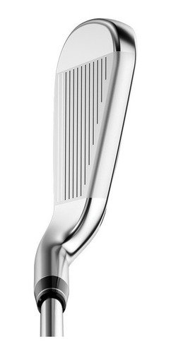 Imagen 2 de 5 de Golfargentino Hierros Callaway Big Bertha B21 Acero Reg 5-p