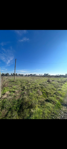 Se Vende Parcela De 5000 Mts2 Camino A Pelarco