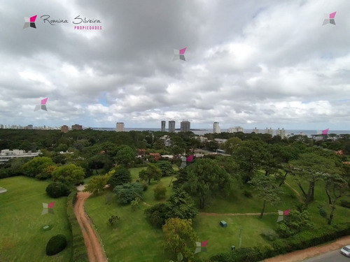 Apartamento En Alquiler Anual Zona De Roosevelt- Ref: 9813