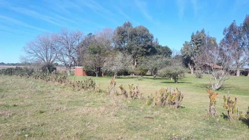 Imagen 7 de 30 de Venta - Campo En Cardales - Bayugar Negocios Inmobiliarios