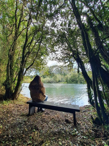Imagen 8 de 11 de Parcela En Venta En Puerto Varas