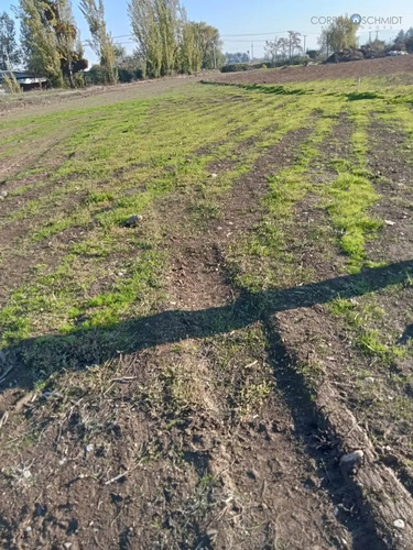 Terreno En Venta En Teno
