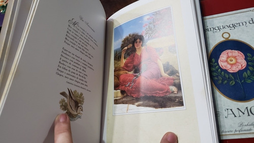 Livro Poema A Linguagem Do Amor Raro