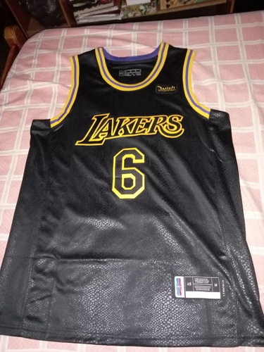 Los Angeles Lakers Nba Lebron James