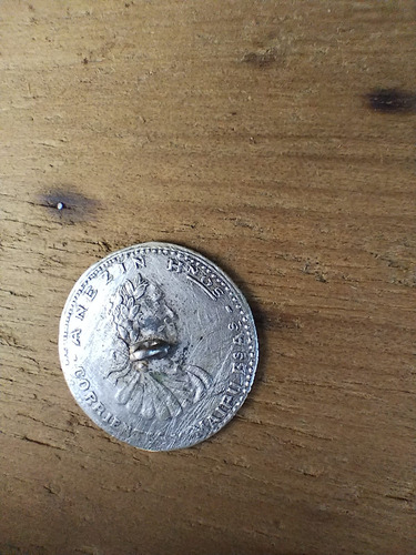 Antiguo Botón De Plata Gauchesco De Platería Anezin. (Usado)