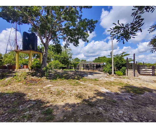 Rancho Ganadero En Venta, Propiedad Privada, 453 Has, Con Cenotes