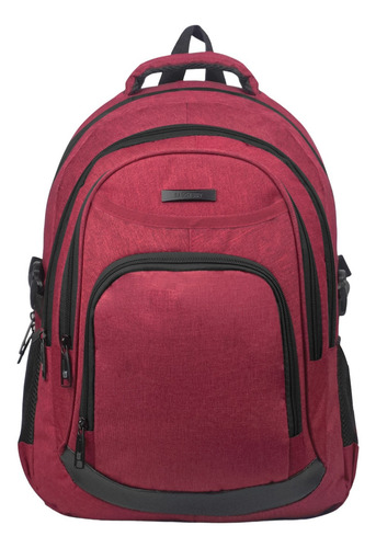Mochila urbana Bagcherry 430005 color bordó 25L