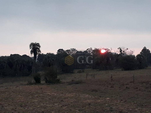 Imagem 3 de 6 de Terreno À Venda, 500 M² Por R$ 40.000,00 - Costa Do Oveiro - Viamão/rs - Te0290