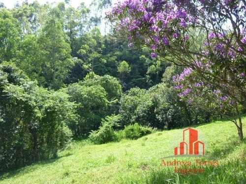 Imagem 26 de 30 de Sítio Sítio À Venda Em Taubaté/sp - 1386