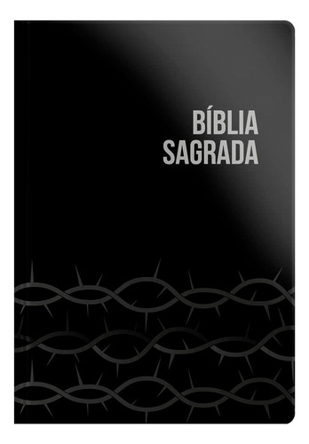 Bíblia Sagrada Evangelize - Nvi - Letra Grande - Capa Brochura Preta, De Vários Autores. Editora Geográfica, Capa Mole Em Português, 2023