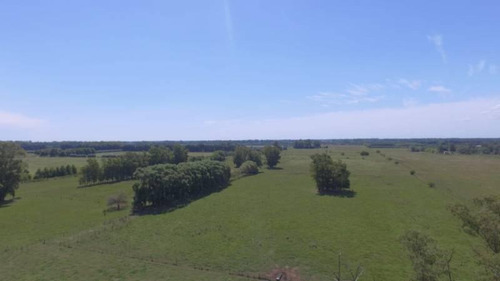 Imagen 17 de 20 de Casa Campo En Venta Ubicado En Pilar, G.b.a. Zona Norte