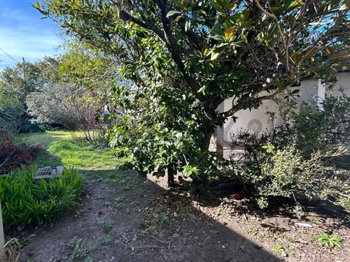Venta De Casa A Reciclar En Gonnet