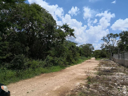 Imagen 3 de 21 de En Venta Terreno De 9 Hectáreas En Mérida Yucatán, Cerca De Periférico