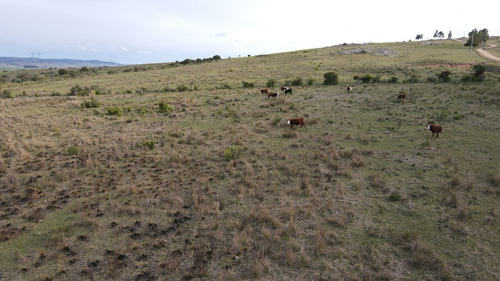 Imagen 3 de 12 de Chacra En Maldonado 3ha Sierra De Los Caracoles (ref: Atm-6801)