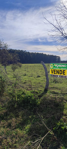 Venta Campo - Colonia Nueva - San Jose- E.r.