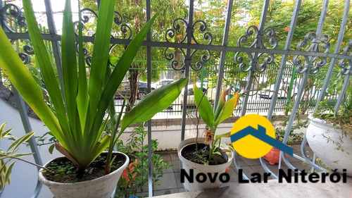 Imagem 14 de 15 de Excelente Apartamento Térreo De 3 Quartos Com Vaga Próximo Ao Colégio Abel. - 512