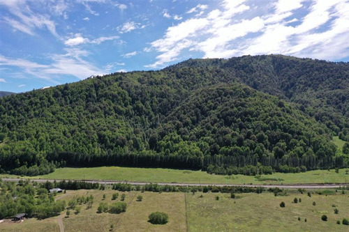 Terreno 5.000 M2 A Pocos Metros Pueblo Malalcahuello