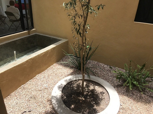 Imagen 6 de 7 de Lujosa Casa En San Miguel De Allende