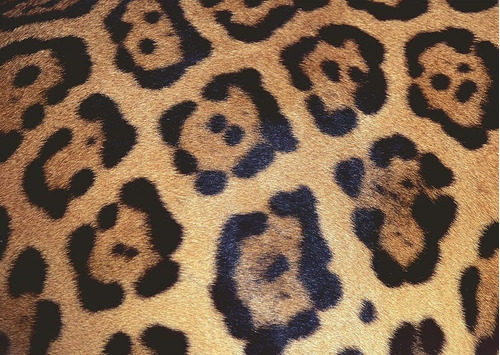 Rompecabezas Ravensburger De 1000 Piezas: Animal Print