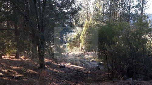 Imagen 6 de 10 de Vendo Lote En B° La Jauria, San Martin De Los Andes