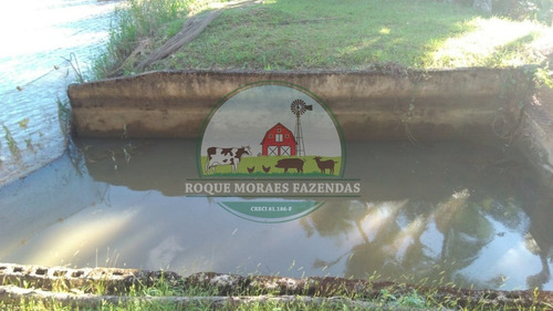 Imagem 10 de 19 de Fazenda À Venda Medindo 52 Alqueires Paulista No Vale Do Ribeira Sp