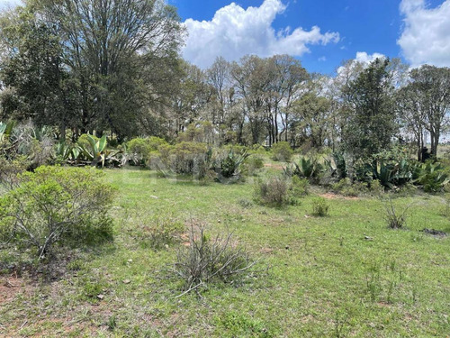 Terreno En Venta En San Lorenzo Nenamicoyan, Jilotepec, Mex.