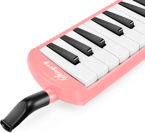 Melodica Pianica Con 37 Teclas Incluye Estuche. Negra