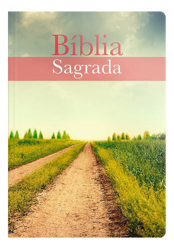 Bíblia Sagrada Evangelize - Acf - Capa Brochura Neutra, De Vários Autores. Editora Geográfica, Capa Mole Em Português, 2023