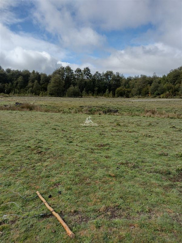 Imagen 29 de 30 de Agrícola En Venta En Ancud