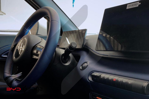 Dolphin Mini Ev