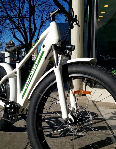 Imagen 9 de 22 de Bicicleta Ray -hs Surna 350w Litio Okm Ahora 12 - 18 V