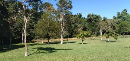 Imagem 12 de 26 de Chácara Com 4 Dormitórios À Venda, 10000 M² Por R$ 1.500.000,00 - Imóvel Cataratas - Gleba Ii - Foz Do Iguaçu/pr - Ch0028