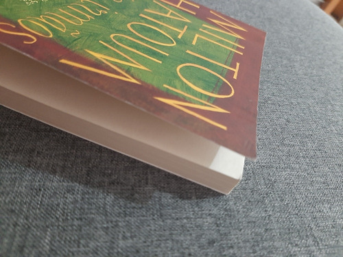 Livro Dois Irmãos Milton Hatoum Companhia De Bolso Usado