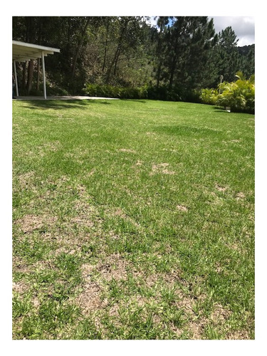 Imagen 20 de 22 de Se Vende Apto 92m2 2h/2b/3p Manzanares 0953
