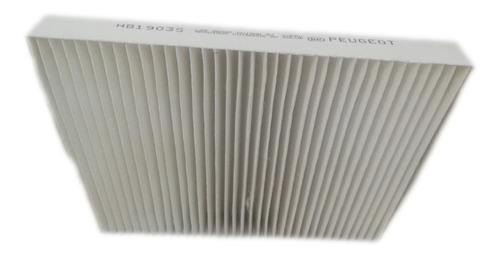 Filtro Aire Acondicionado O Antipolen Peugeot 307