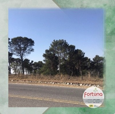 Hectárea Comercial