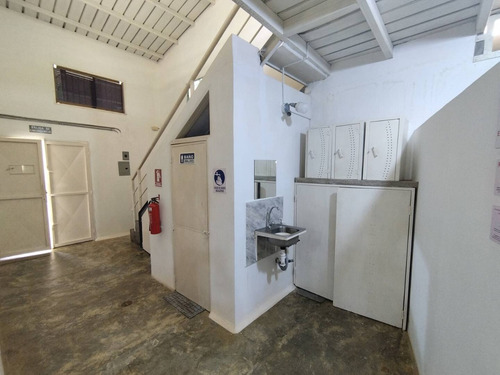 Annic Coronado Vende Oportunidad De Inversión: Venta Fábrica De Condimentos Con Marca Registrada Ref 252221