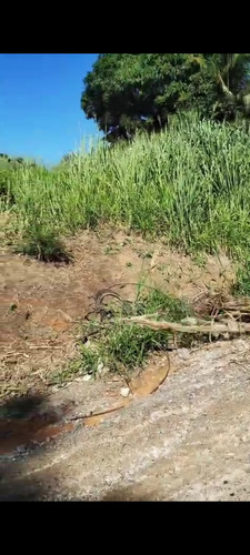 Terreno Com 420 M2 Escriturado