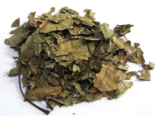 Nogal De Castilla 1kg Producto Herbal Para Te O Infusion