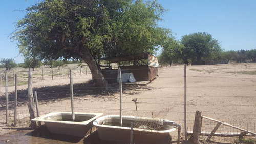Campo En Venta Villa Quilino - Campo Ganadero Con 2 Casas