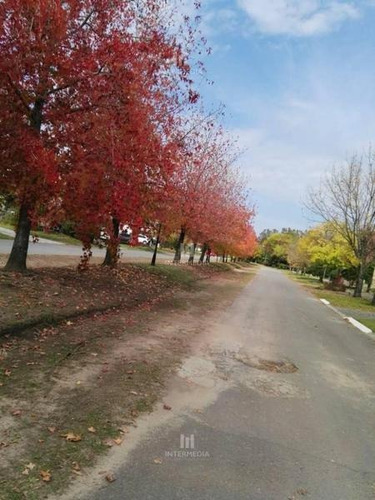 Imagen 3 de 3 de Terreno Lote En Venta Ubicado En Alamo Alto, Escobar, G.b.a. Zona Norte
