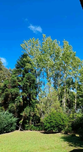 Imagen 11 de 14 de Cabaña Delta Tigre Unica En Quinta Privada C/pileta Exclusiv
