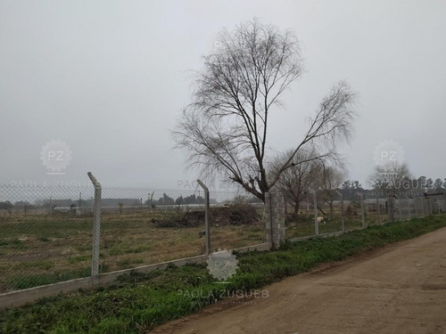 Imagen 15 de 25 de Terreno Campo En Venta En Berazategui, G.b.a. Zona Sur, Argentina