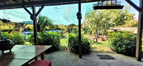 Venta De Parcela De 20.000 M2, Hermosa Y Productiva, En El M