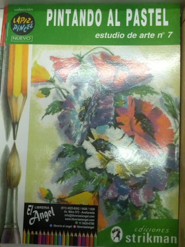 Pintando Al Pastel Ediciones Stikman Estudio De Arte Nº7