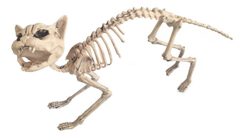 Imagen 1 de 1 de Decorativo Esqueleto De Gato Cat Skeleton Halloween
