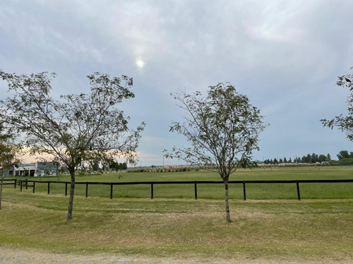 Imagen 1 de 14 de Lote En Venta Chacras De La Trinidad, Cañuelas!